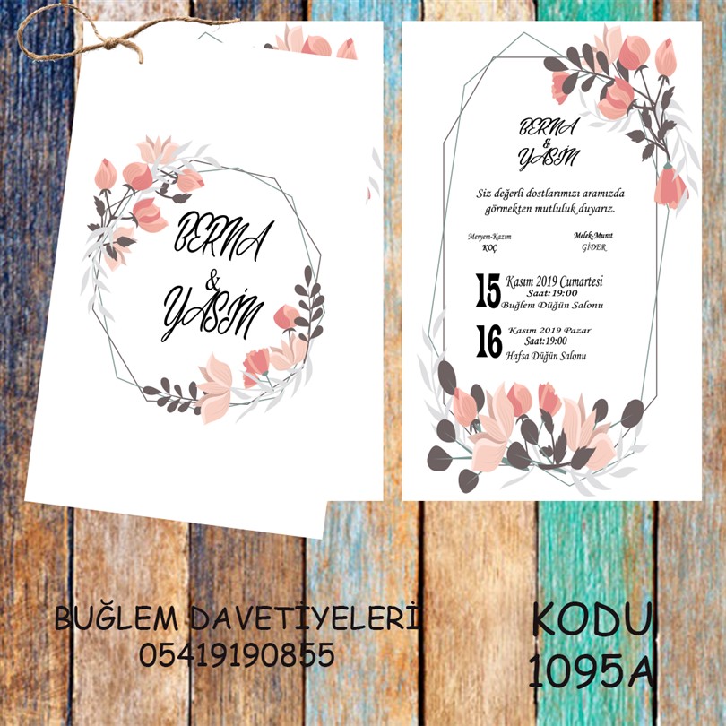 1095a 1095a